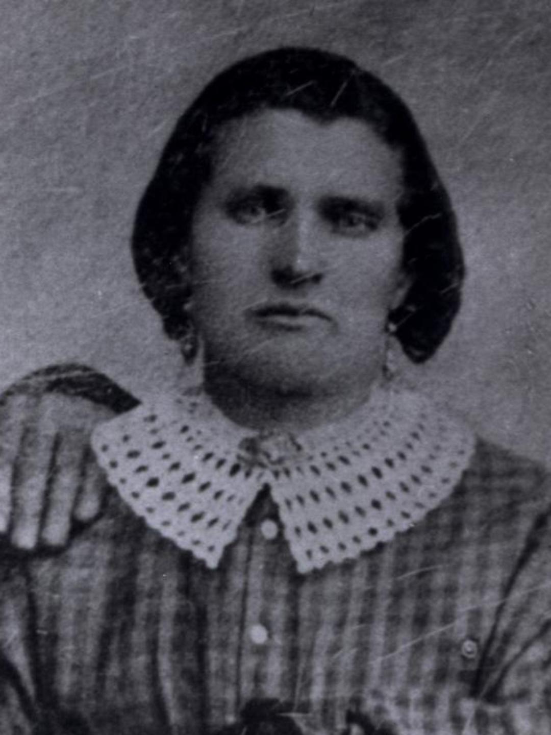 Lovina Buckwalter (1821 - 1878) Profile